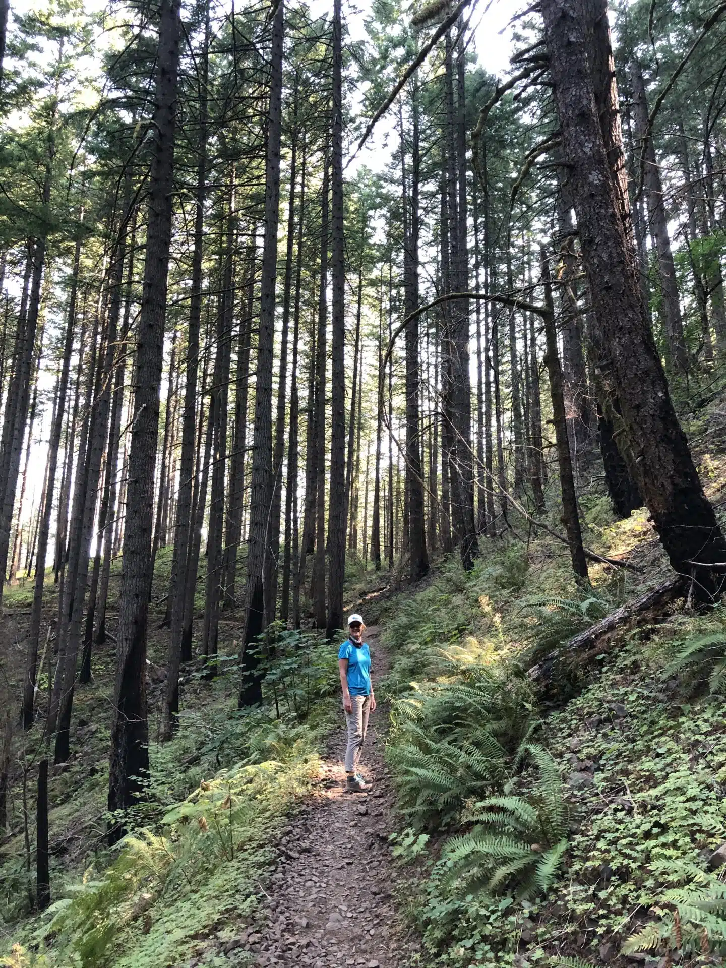 on the PCT and channeling cheryl strayed and wild wisdom
