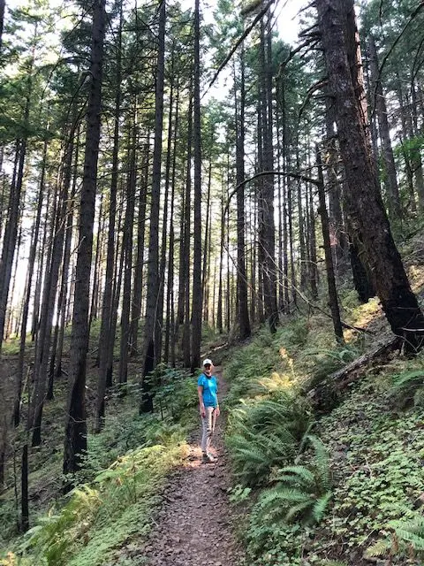 Wild on the PCT and channeling Cheryl Strayed